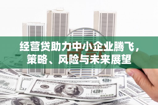 拉孜经营贷助力中小企业腾飞，策略、风险与未来展望