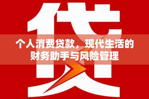 拉孜个人消费贷款，现代生活的财务助手与风险管理