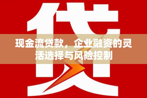 拉孜现金流贷款，企业融资的灵活选择与风险控制