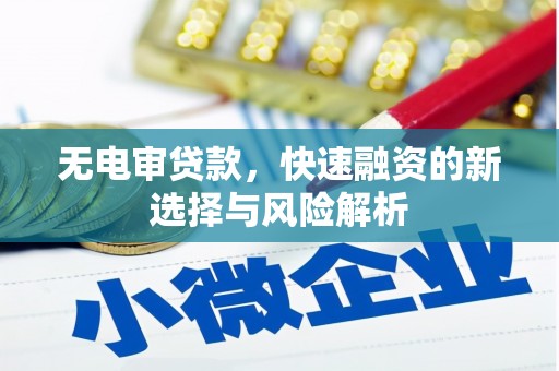 拉孜无电审贷款，快速融资的新选择与风险解析
