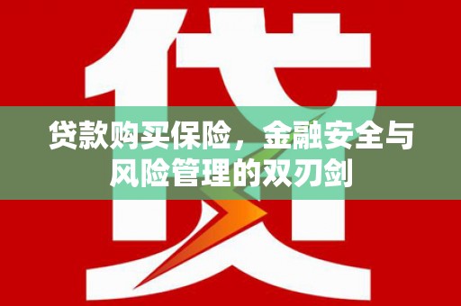 拉孜贷款购买保险，金融安全与风险管理的双刃剑