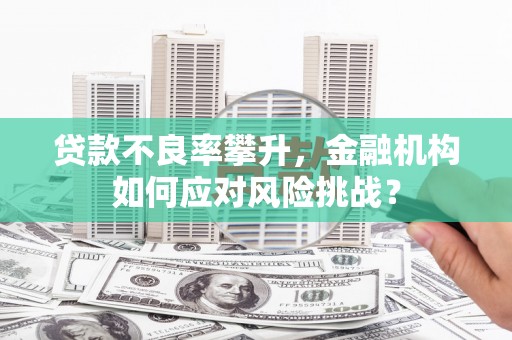 拉孜贷款不良率攀升，金融机构如何应对风险挑战？