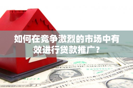 拉孜如何在竞争激烈的市场中有效进行贷款推广？