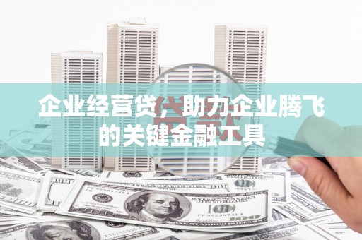 拉孜企业经营贷，助力企业腾飞的关键金融工具