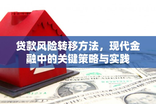 拉孜贷款风险转移方法，现代金融中的关键策略与实践