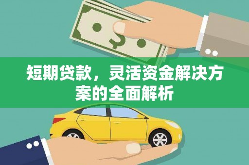 拉孜短期贷款，灵活资金解决方案的全面解析