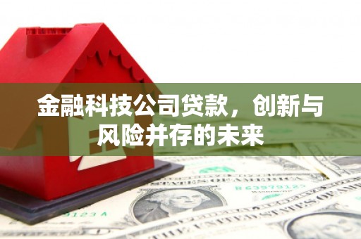 拉孜金融科技公司贷款，创新与风险并存的未来