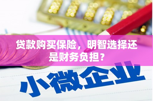拉孜贷款购买保险，明智选择还是财务负担？