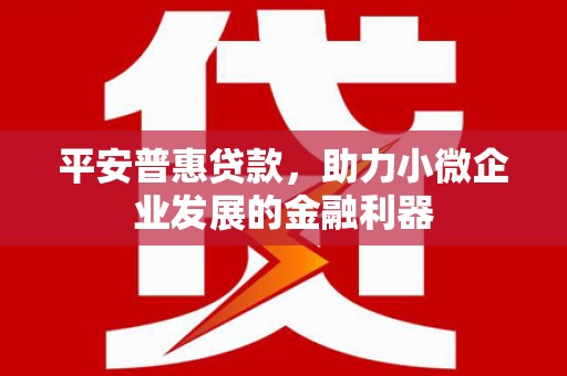 拉孜平安普惠贷款，助力小微企业发展的金融利器