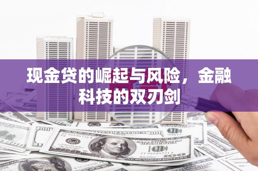 拉孜现金贷的崛起与风险，金融科技的双刃剑