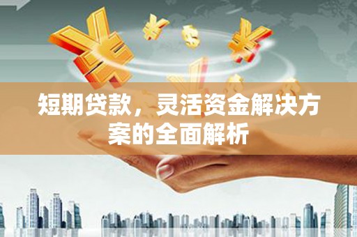 拉孜短期贷款，灵活资金解决方案的全面解析