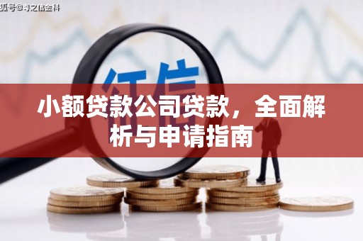 拉孜小额贷款公司贷款，全面解析与申请指南