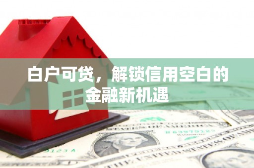 拉孜白户可贷，解锁信用空白的金融新机遇