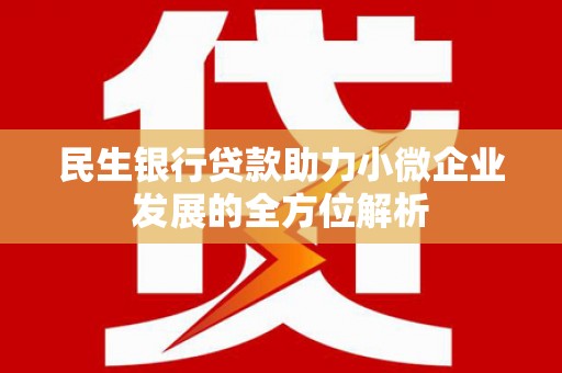 拉孜民生银行贷款助力小微企业发展的全方位解析