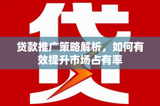 拉孜贷款推广策略解析，如何有效提升市场占有率