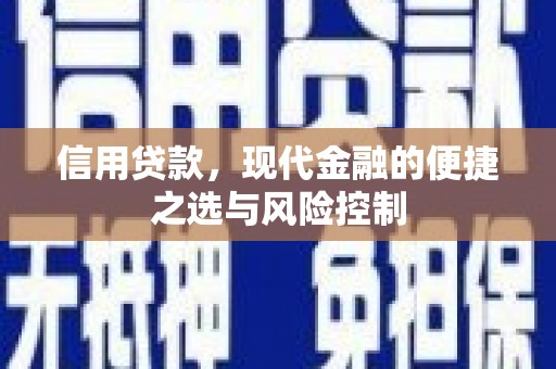 拉孜信用贷款，现代金融的便捷之选与风险控制
