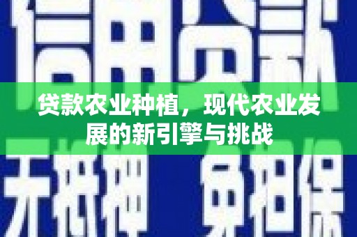 拉孜贷款农业种植，现代农业发展的新引擎与挑战