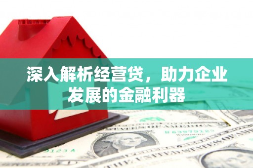 拉孜深入解析经营贷，助力企业发展的金融利器