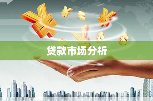 拉孜贷款市场分析