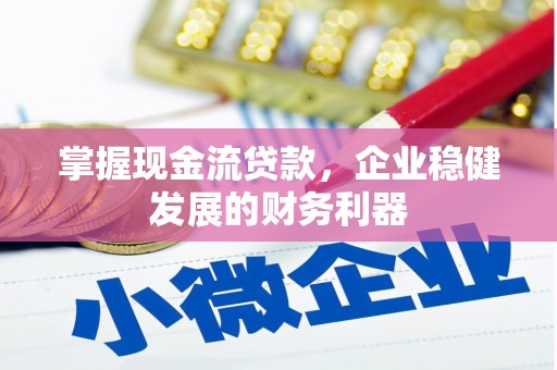 拉孜掌握现金流贷款，企业稳健发展的财务利器