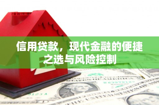 拉孜信用贷款，现代金融的便捷之选与风险控制