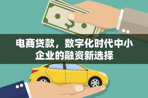 拉孜电商贷款，数字化时代中小企业的融资新选择