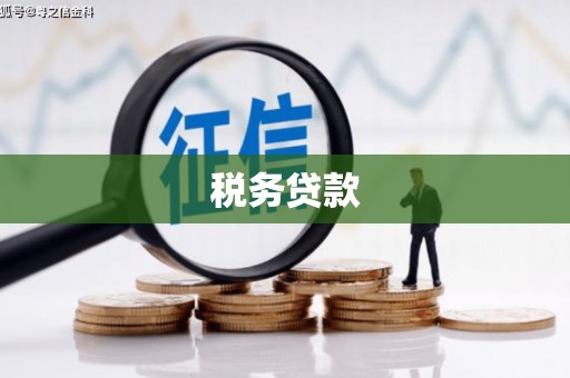 拉孜税务贷款