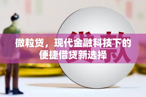 拉孜微粒贷，现代金融科技下的便捷借贷新选择