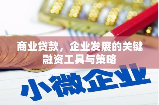 拉孜商业贷款，企业发展的关键融资工具与策略