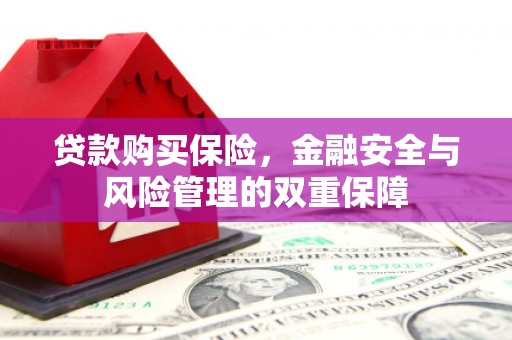 拉孜贷款购买保险，金融安全与风险管理的双重保障