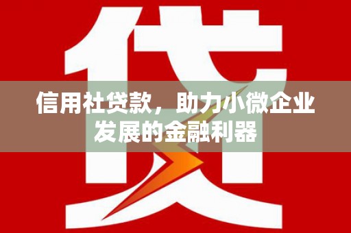 拉孜信用社贷款，助力小微企业发展的金融利器