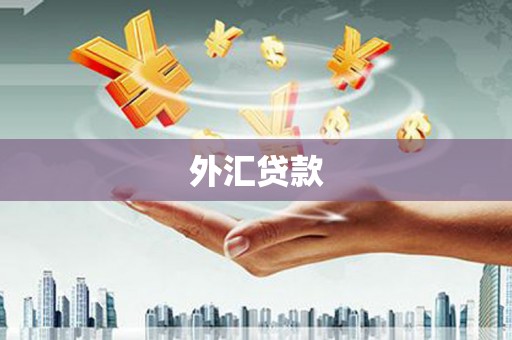 拉孜外汇贷款
