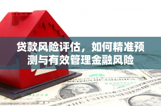 拉孜贷款风险评估，如何精准预测与有效管理金融风险