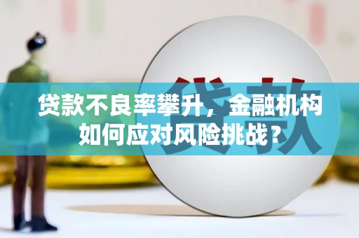 拉孜贷款不良率攀升，金融机构如何应对风险挑战？