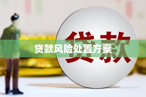 拉孜贷款风险处置方案