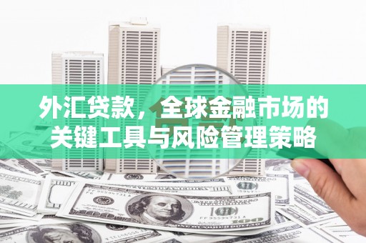拉孜外汇贷款，全球金融市场的关键工具与风险管理策略