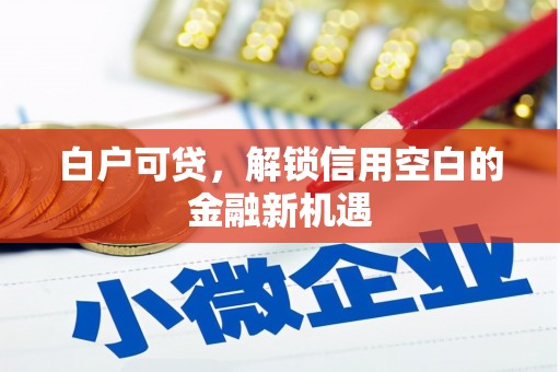 拉孜白户可贷，解锁信用空白的金融新机遇