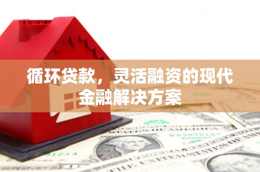 拉孜循环贷款，灵活融资的现代金融解决方案