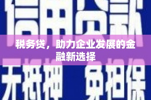 拉孜税务贷，助力企业发展的金融新选择