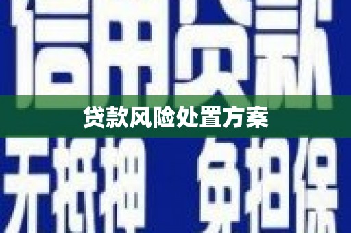 拉孜贷款风险处置方案