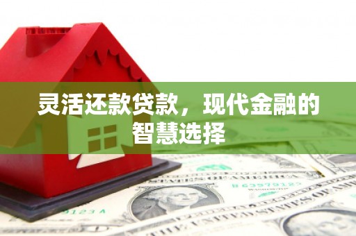 拉孜灵活还款贷款，现代金融的智慧选择