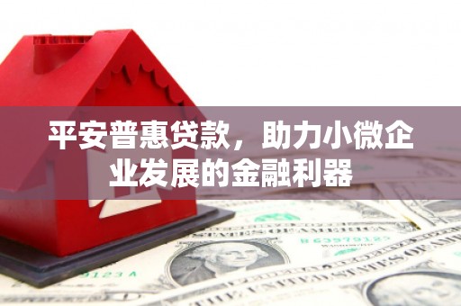 拉孜平安普惠贷款，助力小微企业发展的金融利器