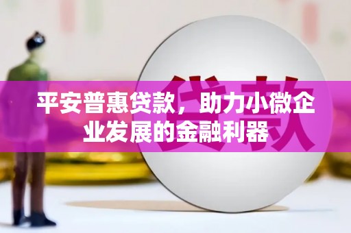 拉孜平安普惠贷款，助力小微企业发展的金融利器