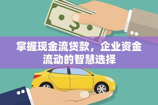 拉孜掌握现金流贷款，企业资金流动的智慧选择