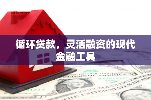 拉孜循环贷款，灵活融资的现代金融工具