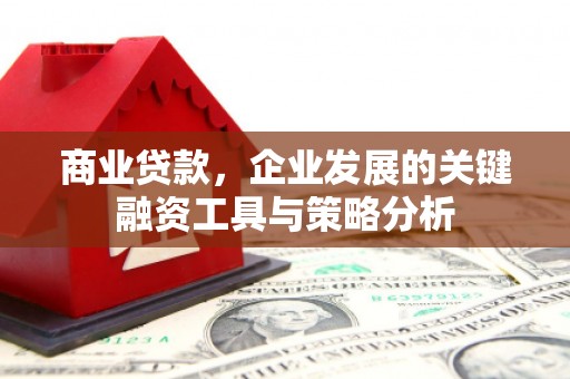 拉孜商业贷款，企业发展的关键融资工具与策略分析