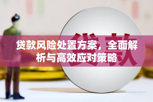 拉孜贷款风险处置方案，全面解析与高效应对策略