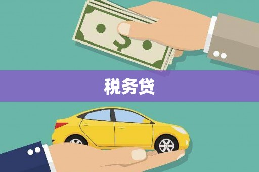 拉孜税务贷