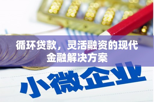 拉孜循环贷款，灵活融资的现代金融解决方案