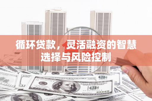 拉孜循环贷款，灵活融资的智慧选择与风险控制